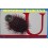 2017- ERIZO - 1 DOLLAR - AUSTRALIA -COLOR