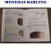 CASA DE MONEDA DE MADRID- LIBRO-CATALOGO