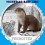 2019 - NUTRIA - 3 EUROS - AUSTRIA - COLOR 