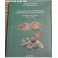 2014 -  VELLON DELOS AUSTRIAS -  CATALOGO MONEDAS - LIBRO