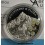 2012- PALAU - 5 DOLLARS - FLORA - PLATA- COLOR