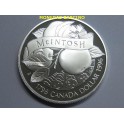1996 - CANADA -  DOLLAR -  PROOF - MATCHS - PLATA