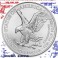 2023 -AGUILA - DOLLAR -ONZA - ESTADOS UNIDOS