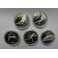 1985- CALGARY 88 -20 DOLLARS- CANADA-10 COINS