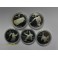 1985- CALGARY 88 -20 DOLLARS- CANADA-10 COINS